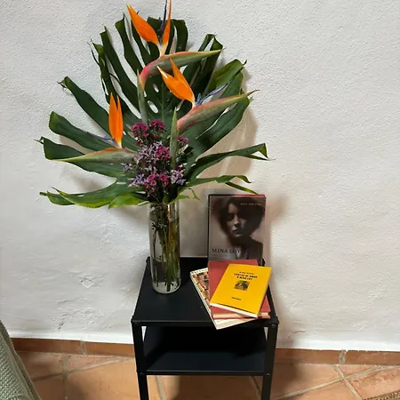 Vakantiehuis Casa Musa - 2 Independent With Shared Pool & Garden San Juan de la Rambla